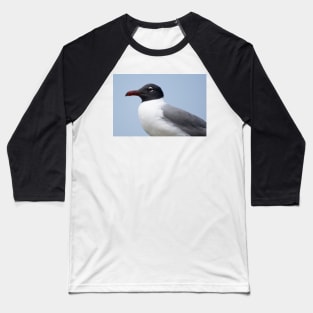 seagull Baseball T-Shirt